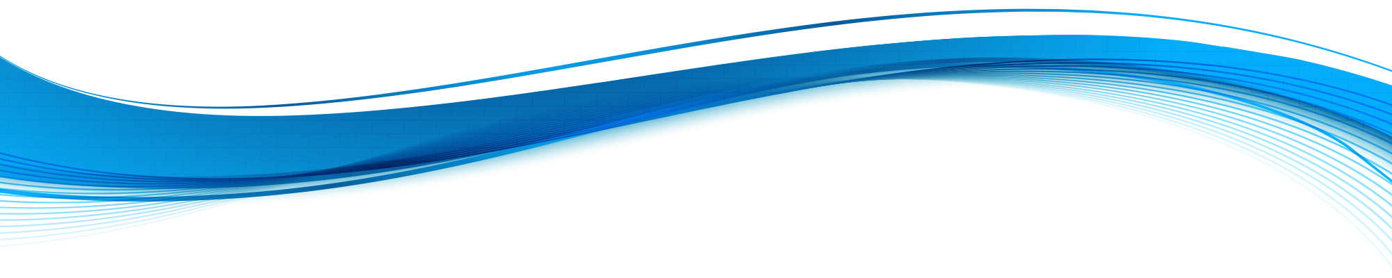 Vector shape 8-1